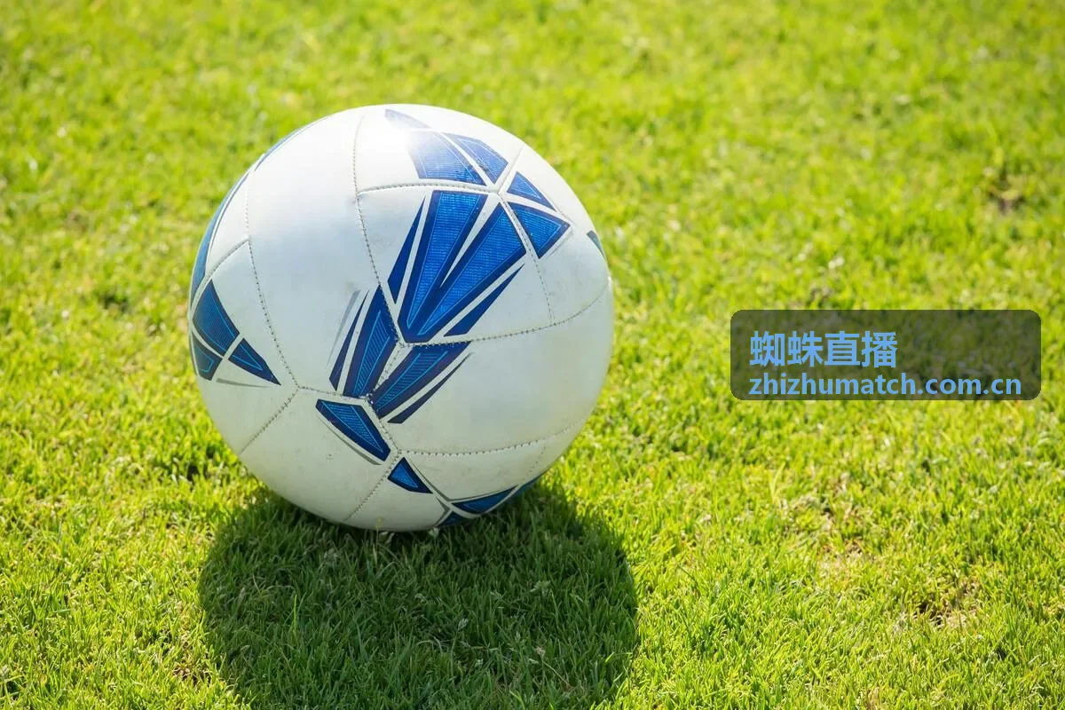 蜘蛛直播数据源接入检查清单封面