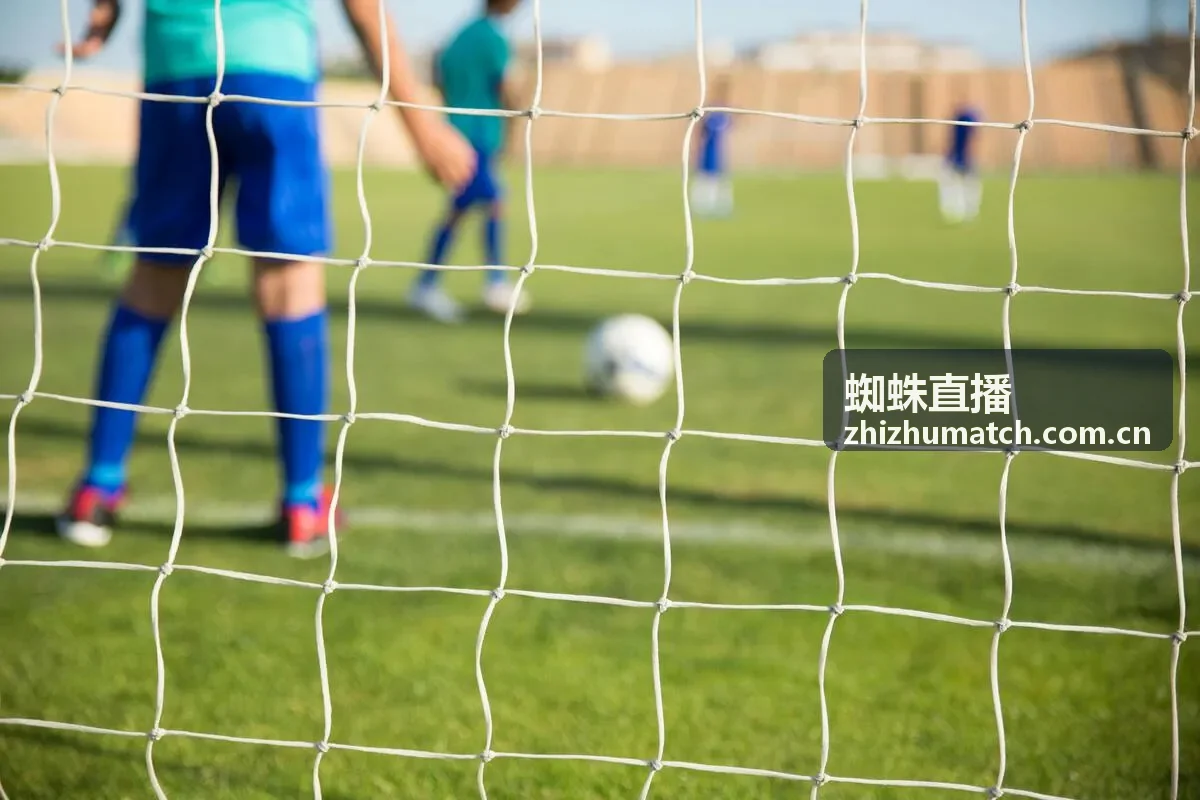 蜘蛛直播直播模块优化完成